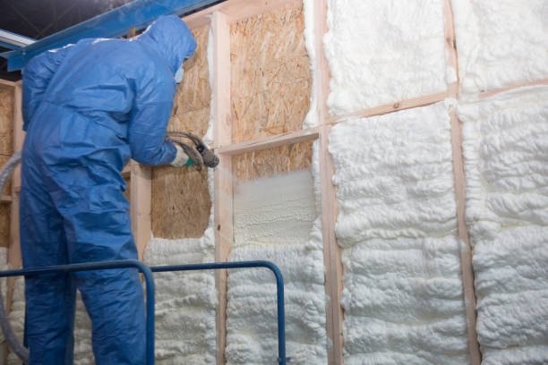 Best Thermal Imaging for Insulation Gaps in New Athens, IL